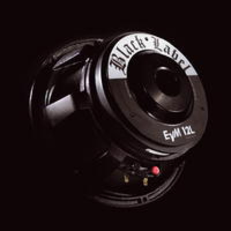 Ein schönes Stück Technik: Der EVM-12L Black Label