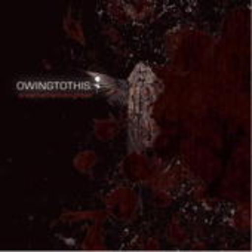 Owing To This – Breathe The Midnight Air