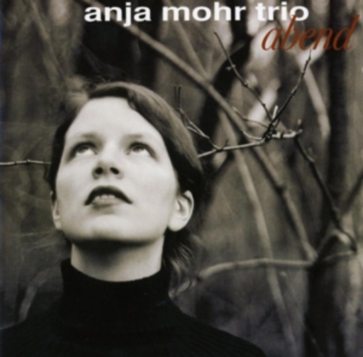 Anja Mohr Trio – Abend