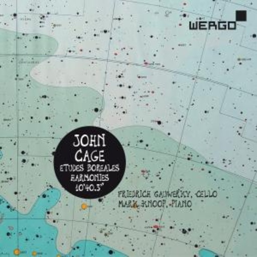 Friedrich Gauwerky/Mark Knoop – Etudes Boreales Harmonies