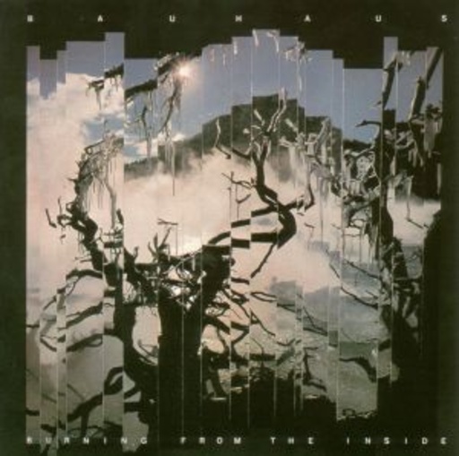 Bauhaus – Burning From The Inside
