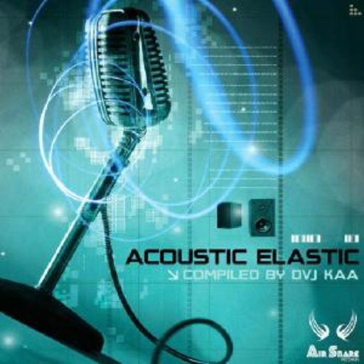 Diverse – Acoustic Elastic