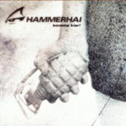 Hammerhai – Komma' klar