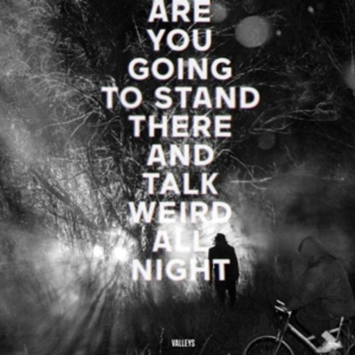 Valleys – Are You Going To Stand There And Talk