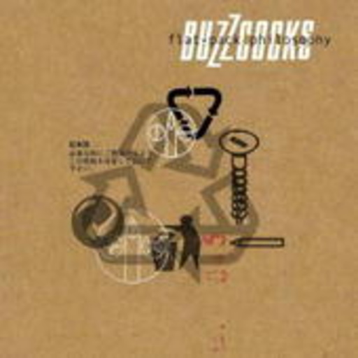 Buzzcocks – Flat-Pack Philosophy