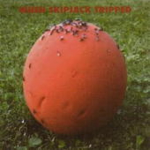 When Skipjack Tripped – Is This World Still Mine?
