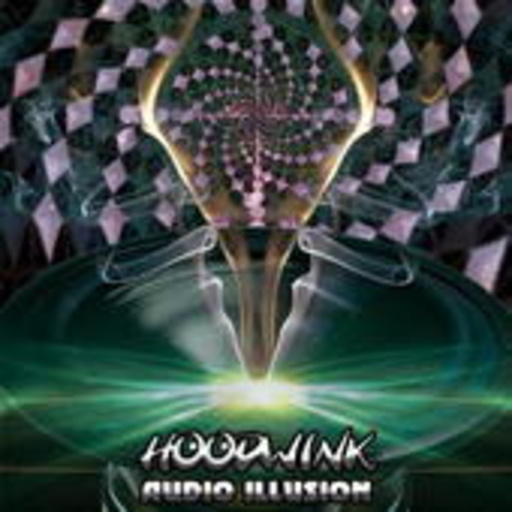 Hoodwink – Audio Illusion