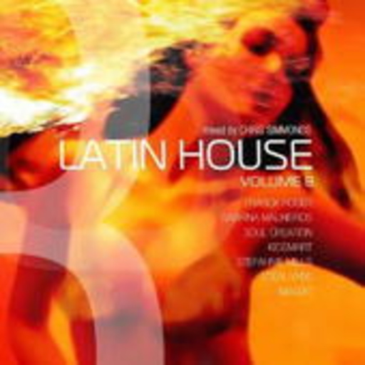 Diverse – Latin House Vol. 8