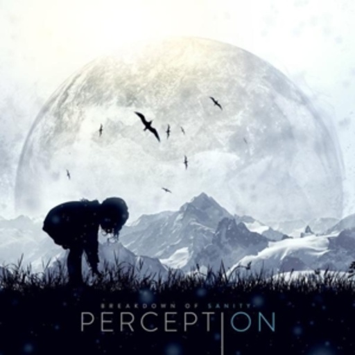 Breakdown Of Sanity – Perception