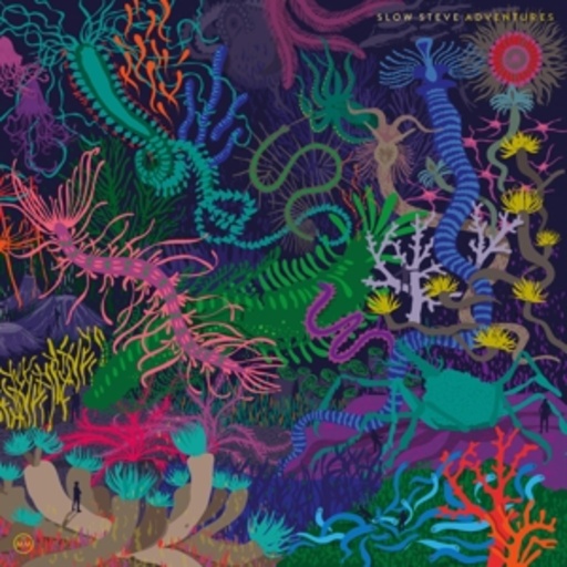 Slow Steve – Adventures