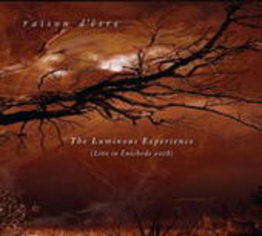 Raison D'Etre – The Luminous Experience