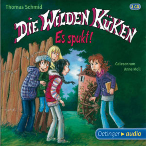 Anne Moll – Die wilden Küken - Es spukt!