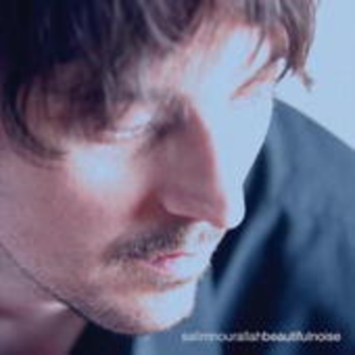 Salim Nourallah – Beautiful Noise