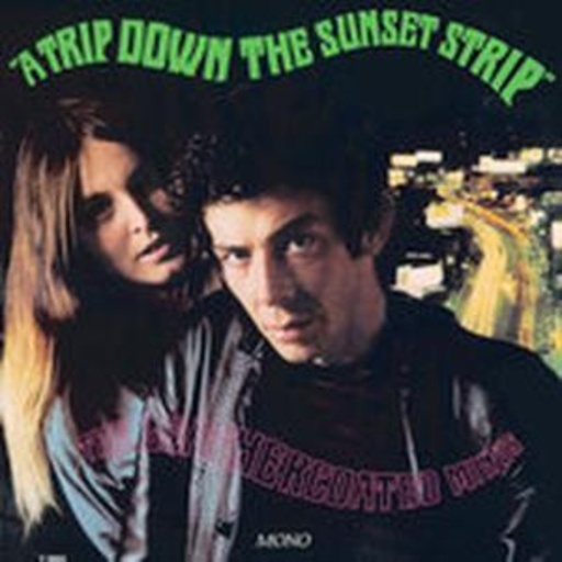 A Trip Down The Sunset Strip