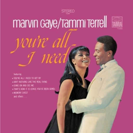 Marvin Gaye/Tammi Terrell – You're All I Need