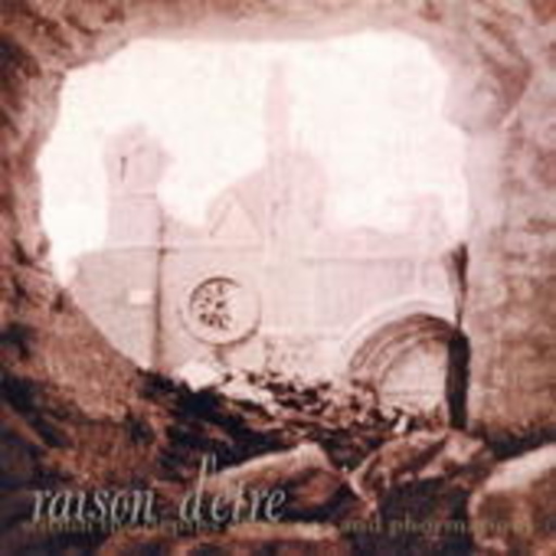 Raison D'Etre – Within The Depths Of Silence And Phormations