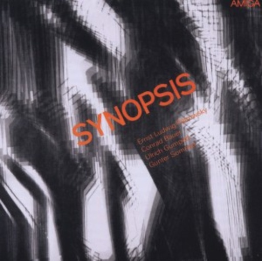 Bauer/Petrowsky/Gumpert/Sommer – Synopsis