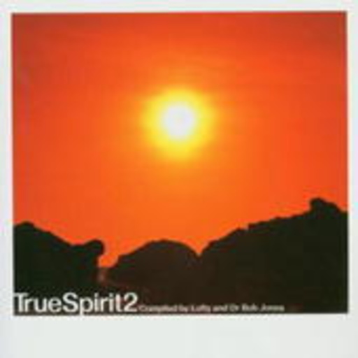 Diverse – True Spirit Vol. 2