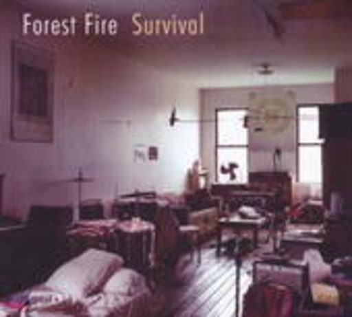 Forest Fire – Survival
