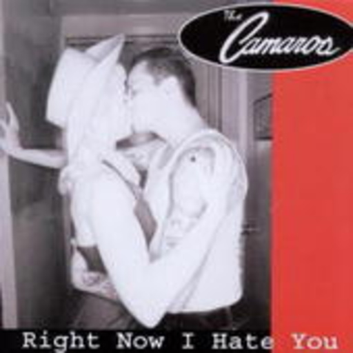 The Camros – Right Now I Hate You