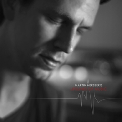 Martin Herzberg – Lifelines Of Music