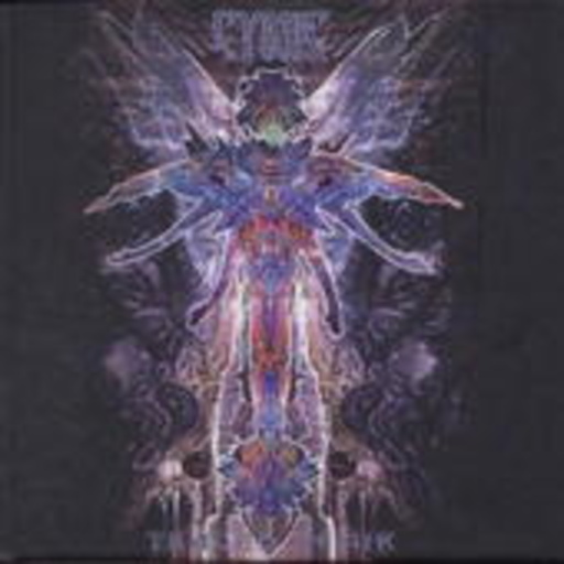 Cynic – Traced In Air