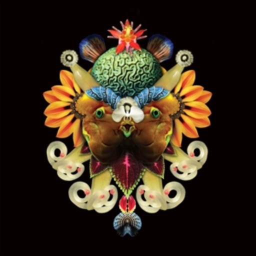 Sycamore Age – Nr. 1 Remixes/Reworks