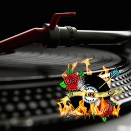 Diverse – Rikki Rokkit 100