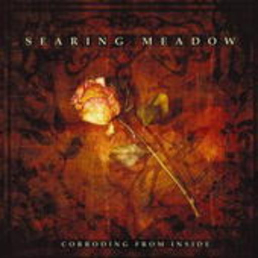Searing Meadow – Corroding From The Inside