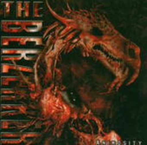 The Berzerker – Animosity