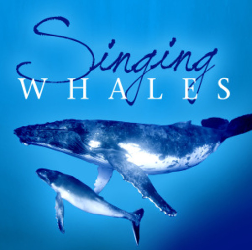 Diverse – Singing Whales
