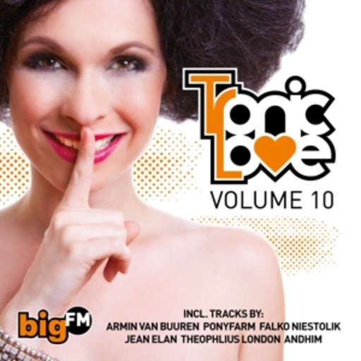 Diverse – Tronic Love Vol. 10 - Big FM