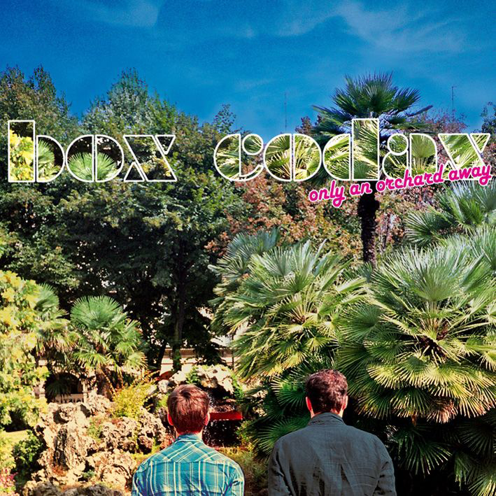 Box Codax – Only An Orchard Away