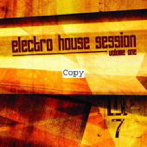 Diverse – Electro House Session Vol. One