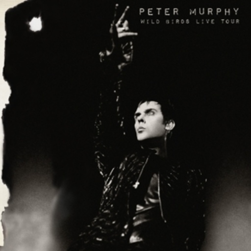 Peter Murphy – Wild Birds Live Tour