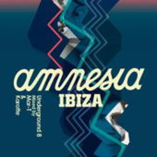 Diverse – Amnesia Ibiza Underground Vol. 8