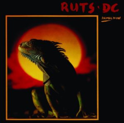 Ruts DC – Animal Now