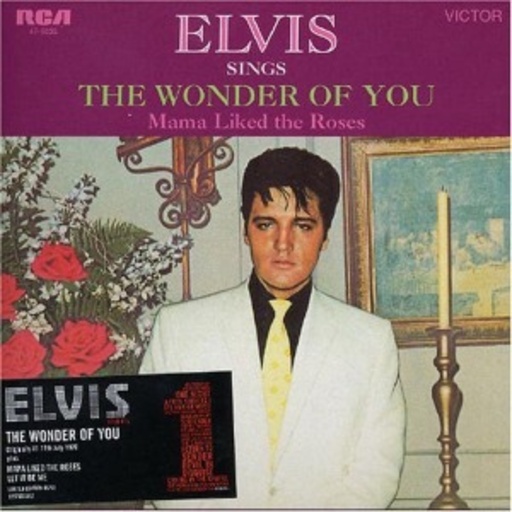 Elvis Presley – The Wonder Of You
