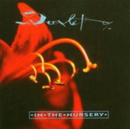 In The Nursery – Duality
