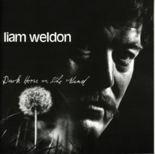 Liam Weldon – Dark Horse On The Wind