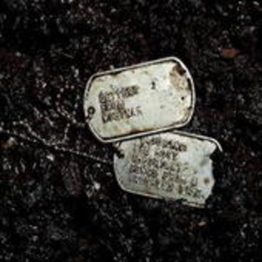 Diverse – Letters From Vietnam Vol. 1 & 2