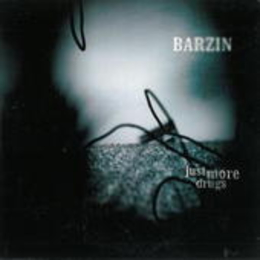 Barzin – Just More Drugs
