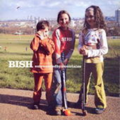 Bish – Sourrounded By Mountains