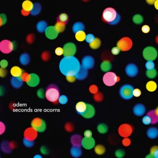 Adem – Seconds Are Acorns