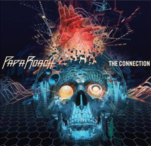 The Connection