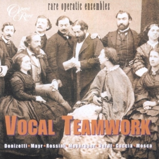 Diverse – Vocal Teamwork
