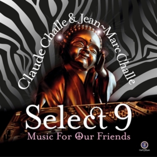 Diverse – Select 09 - Music For Our Friends - Claude Challe & Jean-Marc Challe