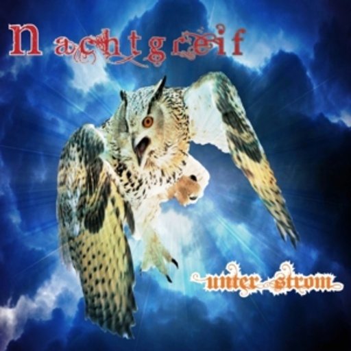 Nachtgreif – Unter Strom