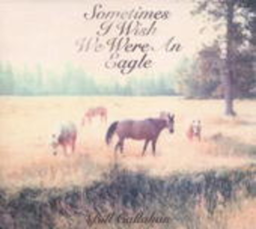 Bill Callahan – Sometimes I Wish We Were An Eagle