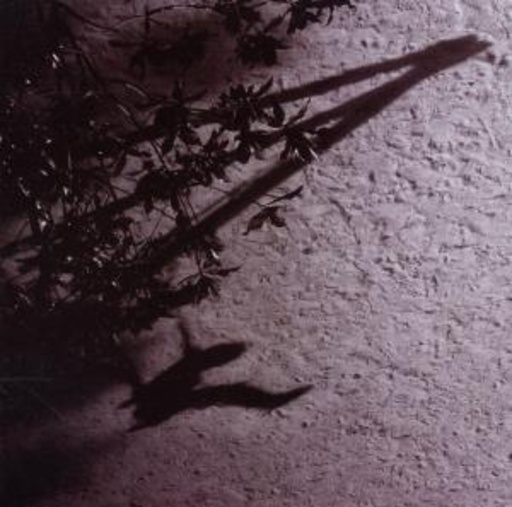 Max Richter – The Blue Notebooks